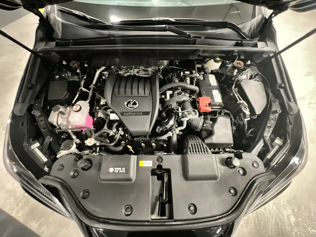 Lexus NX fotografie Lexus NX