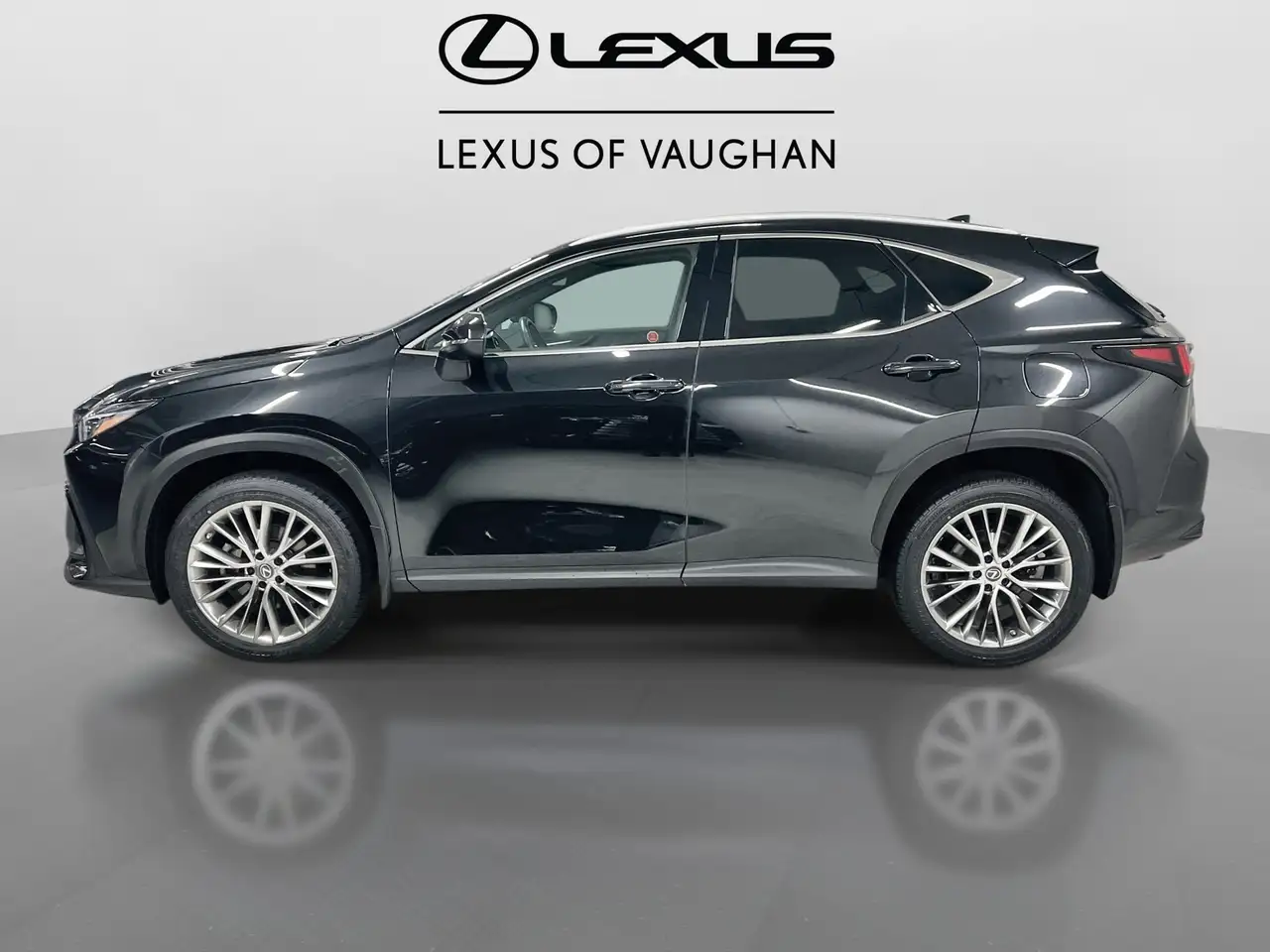 Lexus NX fotografie Lexus NX