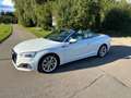 Audi A5 40 TFSI advanced Weiß - thumbnail 5