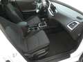 Kia Ceed SW / cee'd SW 1,0 T-GDI GPF ISG Silber Weiß - thumbnail 10