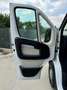 Fiat Ducato 33 MH2 2.3 MJT 120CV E6D Blanc - thumbnail 12