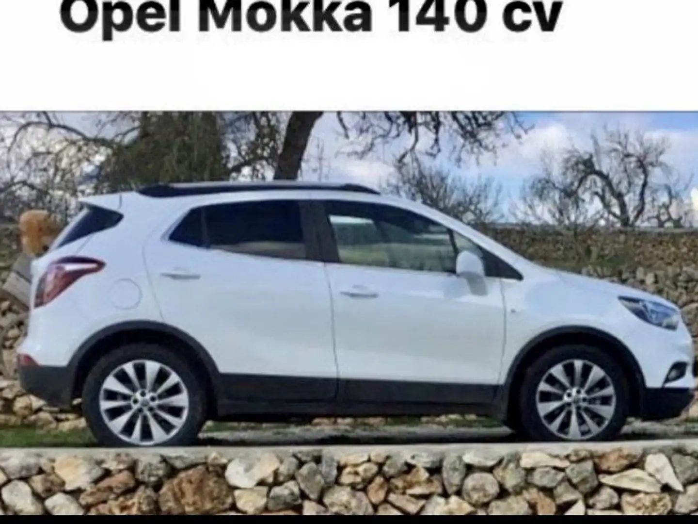 Opel Mokka X 1.4T GLP Innovation 4x2 Blanco - 1