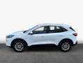 Ford Kuga 2.5 Duratec PHEV TITANIUM Weiß - thumbnail 5