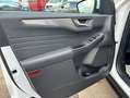 Ford Kuga 2.5 Duratec PHEV TITANIUM Weiß - thumbnail 14