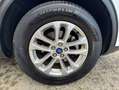 Ford Kuga 2.5 Duratec PHEV TITANIUM Weiß - thumbnail 16