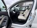 Fiat 500X Dolcevita AUTOMATIK*FALTDACH*LEDER*KAMERA Blanc - thumbnail 12