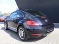 Volkswagen Beetle 1.2 TSI DESIGN / PANORAMA, KLIMAAUTOMATIK Negro - thumbnail 5