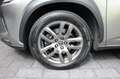 Lexus NX 300h 300H AWD EX. LINE Grijs - thumbnail 37