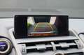 Lexus NX 300h 300H AWD EX. LINE Grijs - thumbnail 24