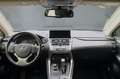 Lexus NX 300h 300H AWD EX. LINE Grijs - thumbnail 18