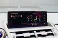 Lexus NX 300h 300H AWD EX. LINE Grijs - thumbnail 22