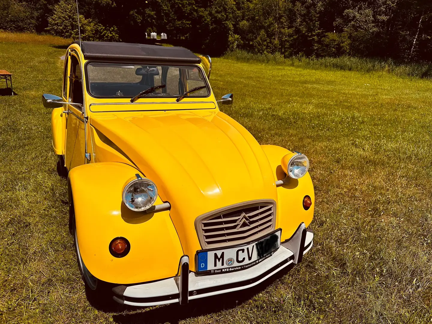 Citroen 2CV Жовтий - 2