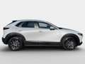 Mazda CX-30 2026 2.5L e-SKYACTIV G 140ps 6MT 2WD P Weiß - thumbnail 3