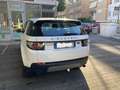 Land Rover Discovery Sport Discovery Sport I 2015 2.0 td4 HSE awd 150cv auto Bianco - thumbnail 3