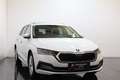 Skoda Octavia Combi 2,0 TDI DSG|MATRIX|PANO|HEAD-UP|RFK| Weiß - thumbnail 1