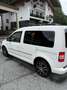 Volkswagen Caddy Edition 30 Weiß - thumbnail 2