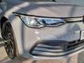 Volkswagen Golf Variant Life TDI Grau - thumbnail 7