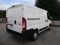 Fiat Ducato 28 L1 H1 IVA COMPRESA MARGINE 2.2 120 CV Blanc - thumbnail 2