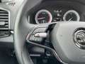 Skoda Karoq 1,0 TSI Clever| AHK*LED Schwarz - thumbnail 42