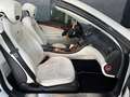 Mercedes-Benz SL 500 AMG Paket / Designo / Airscarf / MwSt. Weiß - thumbnail 10