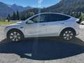Tesla Model Y Long Range AWD 75kWh - thumbnail 7
