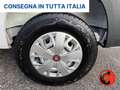 Fiat Ducato 35 122CV 47kWh(PM-TM-L2H2)FURGONE ELETTRICO-KM 470 Bianco - thumbnail 22