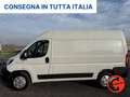 Fiat Ducato 35 122CV 47kWh(PM-TM-L2H2)FURGONE ELETTRICO-KM 470 Bianco - thumbnail 3