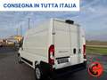 Fiat Ducato 35 122CV 47kWh(PM-TM-L2H2)FURGONE ELETTRICO-KM 470 Bianco - thumbnail 5