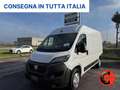 Fiat Ducato 35 122CV 47kWh(PM-TM-L2H2)FURGONE ELETTRICO-KM 470 Bianco - thumbnail 1