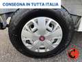 Fiat Ducato 35 122CV 47kWh(PM-TM-L2H2)FURGONE ELETTRICO-KM 470 Bianco - thumbnail 21