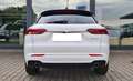 Maserati Grecale HUD PANORAMA 20 MATRIX Bianco - thumbnail 7