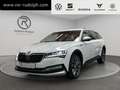 Skoda Superb Combi 2.0 TDI 4x4 DSG Scout / Navi Weiß - thumbnail 1