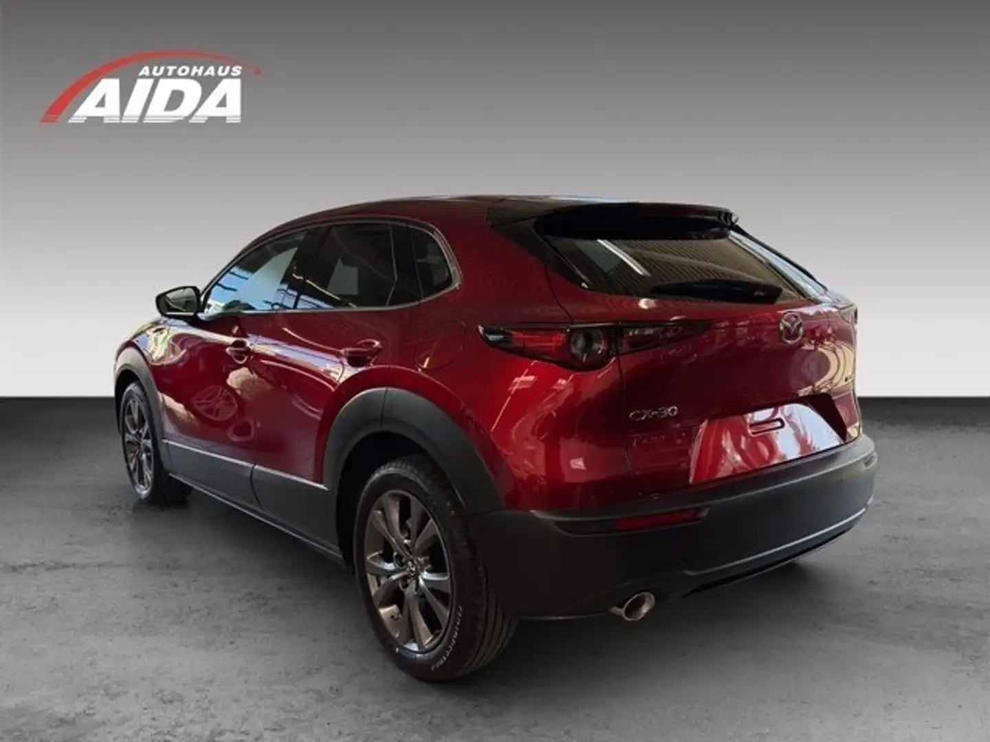 Mazda CX-30 2025 2.0L e-SKYACTIV X 186PS Takumi WLOP *Automati Rot - 2