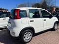 Fiat Panda 1.0 FireFly S&S Hybrid +pack radio sensori 5 posti Bianco - thumbnail 7
