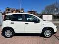 Fiat Panda 1.0 FireFly S&S Hybrid +pack radio sensori 5 posti Bianco - thumbnail 8