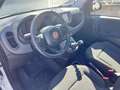 Fiat Panda 1.0 FireFly S&S Hybrid +pack radio sensori 5 posti Bianco - thumbnail 14
