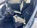 Fiat Panda 1.0 FireFly S&S Hybrid +pack radio sensori 5 posti Bianco - thumbnail 15