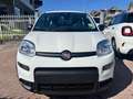 Fiat Panda 1.0 FireFly S&S Hybrid +pack radio sensori 5 posti Bianco - thumbnail 2