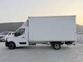 Renault Master Cabinato con Sponda Idraulica T35 Euro 6D 1Proprit Blanc - thumbnail 8