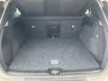 Volvo XC40 1.5 Automaat Pro Sportstoelen Carplay Hoge zit Bus Gris - thumbnail 12