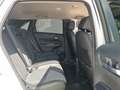 Honda Jazz Nuevo Híbrido 1.5 i-MMD 90 kW (122 CV) e-CVT ADVA Geel - thumbnail 6