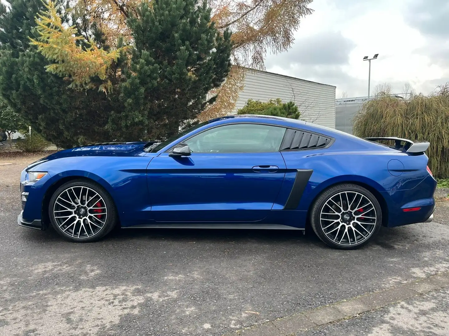 Ford Mustang 2.3 EcoBoost Basis Fastback - 2