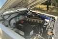 Nissan Patrol Corto TB 6 cil. 5pl. Blanc - thumbnail 11