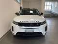 Land Rover Range Rover Evoque 2.0D I4 163 CV AWD Auto SE Bianco - thumbnail 8