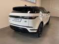 Land Rover Range Rover Evoque 2.0D I4 163 CV AWD Auto SE Bianco - thumbnail 2