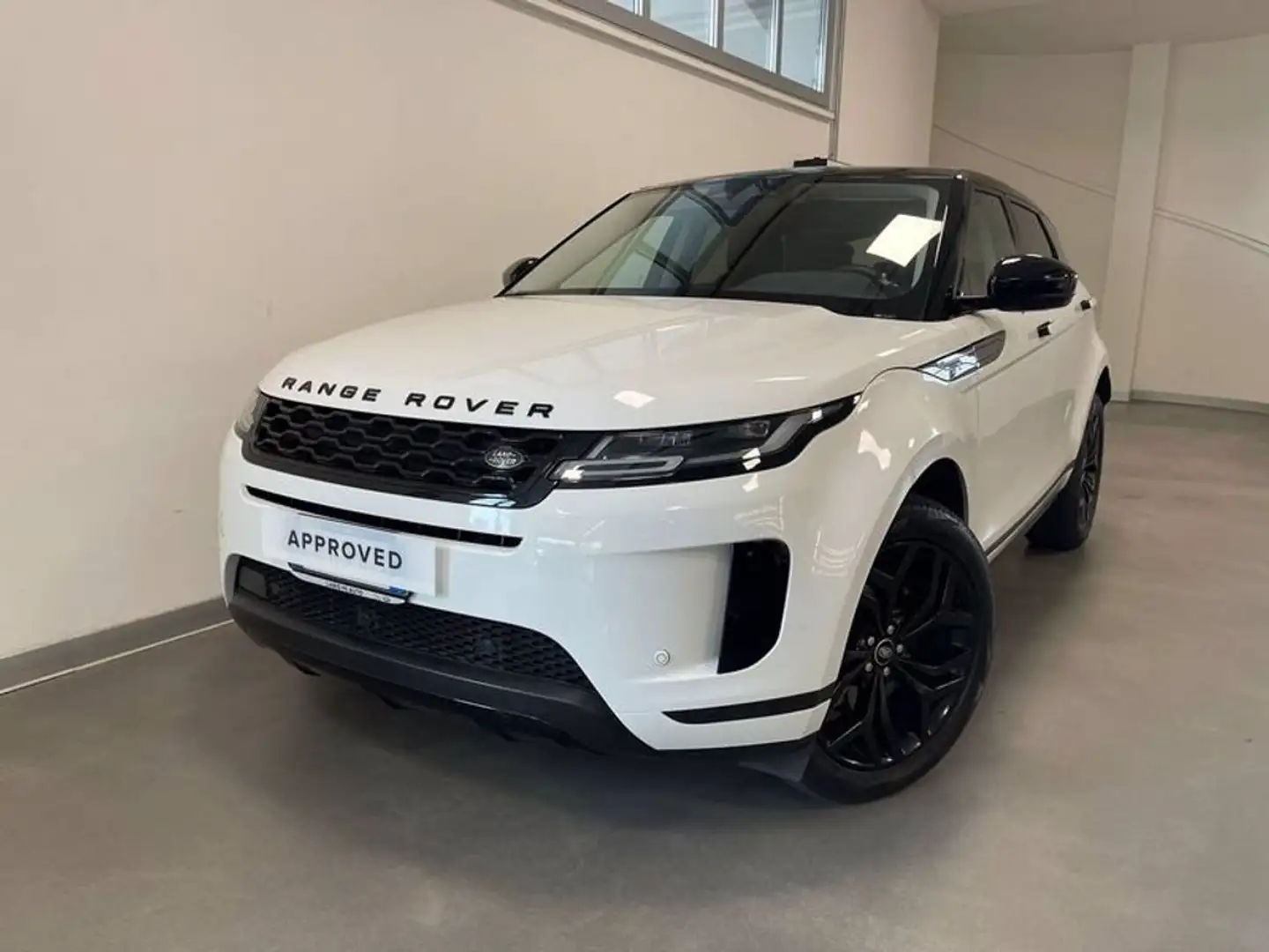 Land Rover Range Rover Evoque 2.0D I4 163 CV AWD Auto SE Bianco - 1
