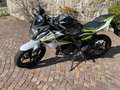 Kawasaki Z 125 Performance Verde - thumbnail 2