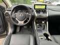 Lexus NX 300 h 300h Executive Line Pano ParkAss. ACC - thumbnail 10