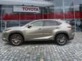 Lexus NX 300 h 300h Executive Line Pano ParkAss. ACC - thumbnail 2