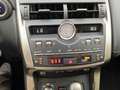 Lexus NX 300 h 300h Executive Line Pano ParkAss. ACC - thumbnail 13